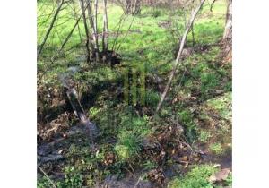 Farm Aveleira with 7,000 m2 and a ruin to be renovated
