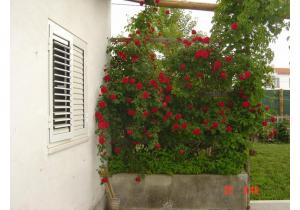 8-bed all ensuite Villa with land