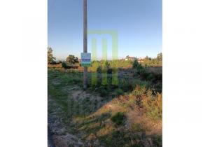 Plot of land in Andorinha with 5,300 m2 in central Portugal