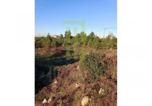 Plot of land in Andorinha with 5,300 m2 in central Portugal