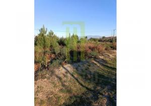 Plot of land in Andorinha with 5,300 m2 in central Portugal