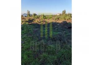 Plot of land in Andorinha with 5,300 m2 in central Portugal