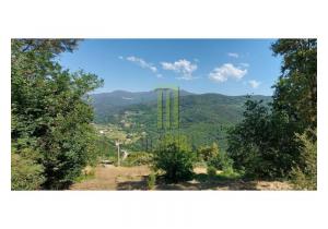 Farm Cortinhais with 14,500 m2 of land with a granite stoned ruin to be renovated