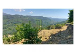 Farm Cortinhais with 14,500 m2 of land with a granite stoned ruin to be renovated