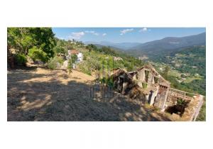 Farm Cortinhais with 14,500 m2 of land with a granite stoned ruin to be renovated