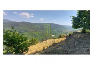 Farm Cortinhais with 14,500 m2 of land with a granite stoned ruin to be renovated