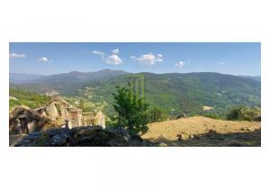 Farm Cortinhais with 14,500 m2 of land with a granite stoned ruin to be renovated