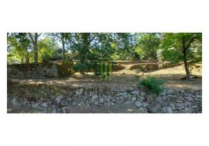 Farm Cortinhais with 14,500 m2 of land with a granite stoned ruin to be renovated