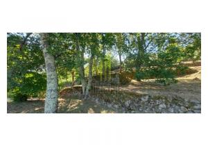 Farm Cortinhais with 14,500 m2 of land with a granite stoned ruin to be renovated