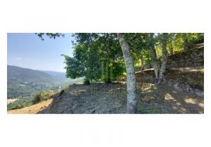 Farm Cortinhais with 14,500 m2 of land with a granite stoned ruin to be renovated