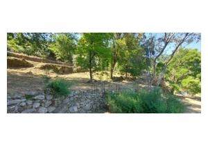 Farm Cortinhais with 14,500 m2 of land with a granite stoned ruin to be renovated