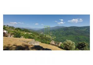 Farm Cortinhais with 14,500 m2 of land with a granite stoned ruin to be renovated