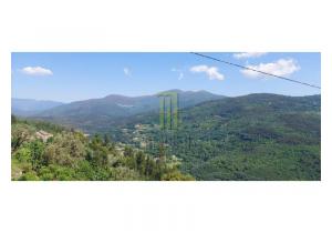 Farm Cortinhais with 14,500 m2 of land with a granite stoned ruin to be renovated